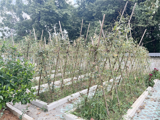 种植区